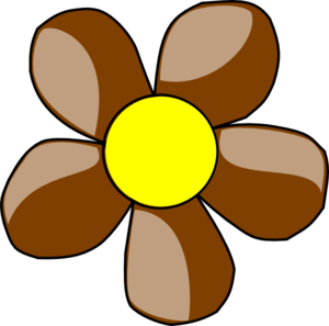 brown-daisy-md.png