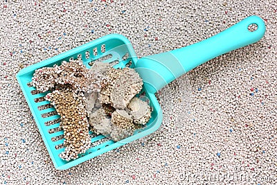 cat-litter-cat-sand-scoop-28789379.jpg