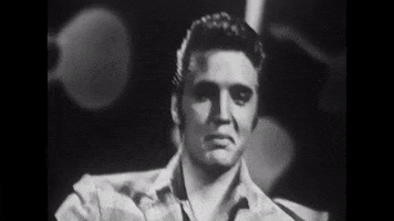 Elvis GIF by The Ed Sullivan Show